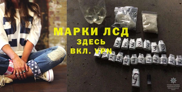 мдпв Пестово