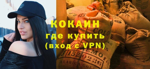 гидра Арсеньев