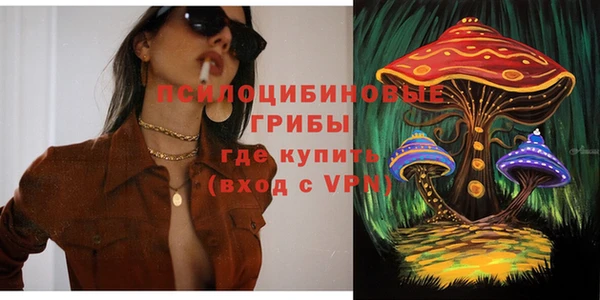 гидра Арсеньев