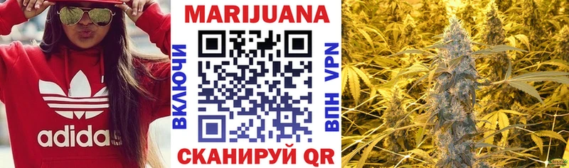где найти   Нолинск  Конопля Bruce Banner 